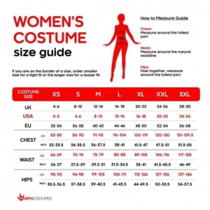 Wicked Witch West Costume - Womens Halloween Costumes